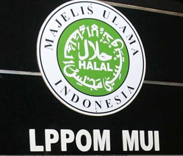 Perkuat Literasi Kader Dakwah Halal, LPPOM MUI Gelar Training of Trainer